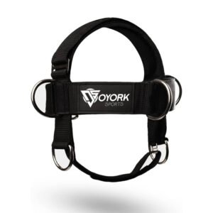 Head Harness