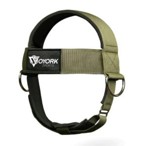 Head Harness